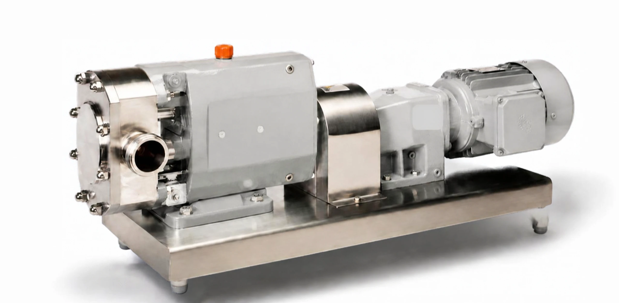 Rotary Lobe Pump