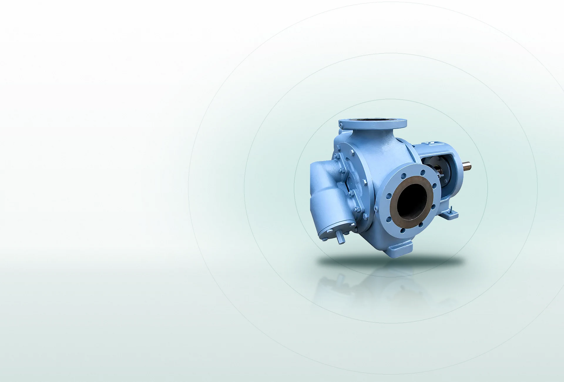 Internal Gear Pumps