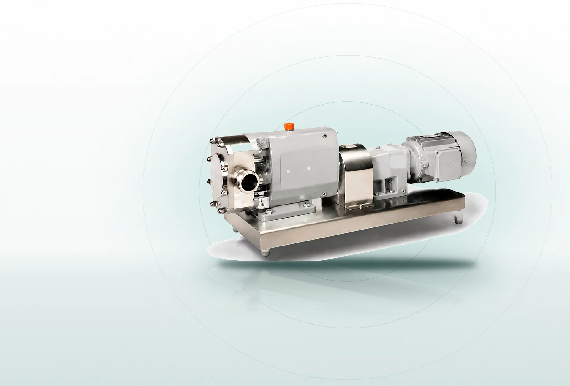 Rotary Lobe Pump